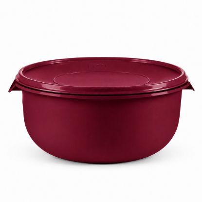 Picture of Bowl With Lid 14Lt - Cherry